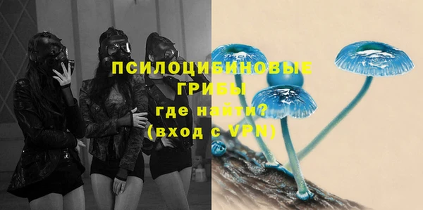 стаф Гусев