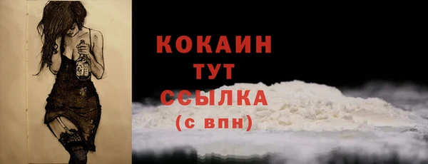 твердый Горно-Алтайск