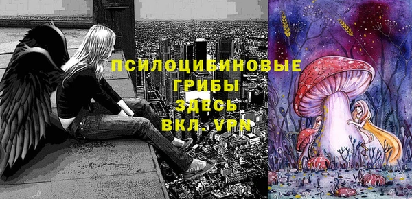гашик Осташков