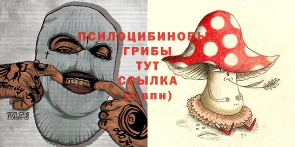 соль ск Горняк