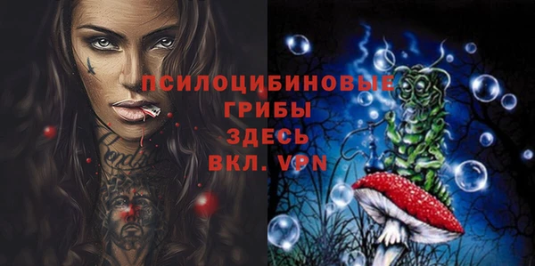 стаф Гусев