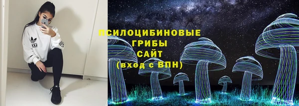 прущие крисы Горнозаводск