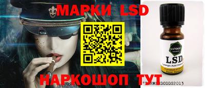 гашик Берёзовский
