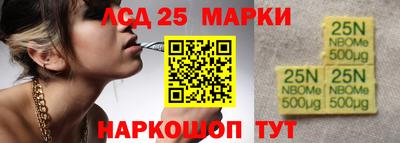 гашик Берёзовский