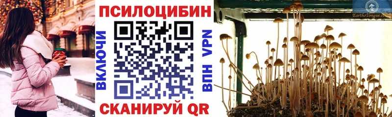 Псилоцибиновые грибы GOLDEN TEACHER мега как зайти Донской