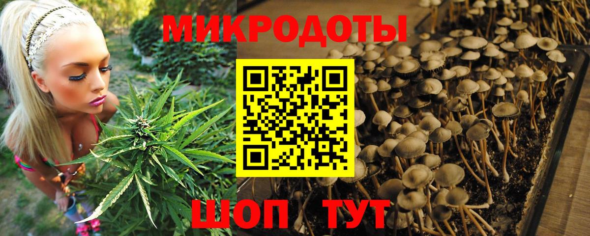 Псилоцибиновые грибы GOLDEN TEACHER Донской