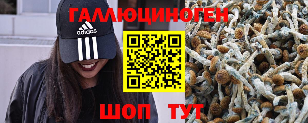 Псилоцибиновые грибы GOLDEN TEACHER Донской