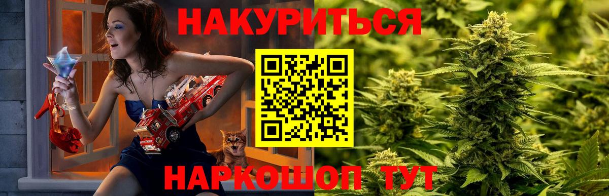 Каннабис SATIVA & INDICA Донской