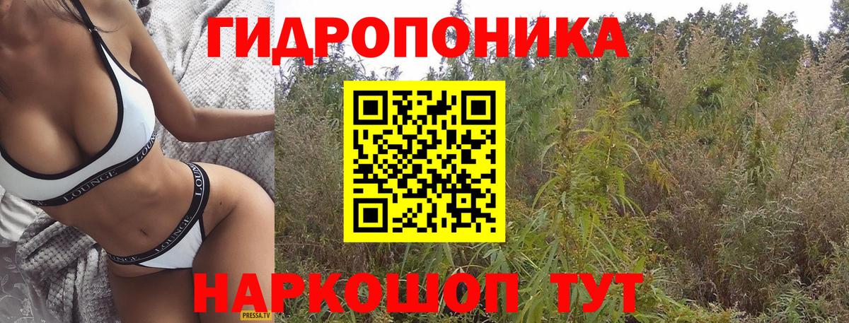 Марихуана гибрид  Бошки марихуана планчик  Конопля тримм  Донской  Шишки марихуана марихуана 